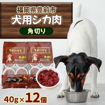 ふるさと納税 豊前市 福岡県豊前市　犬用シカ肉【角切り】40g×12個