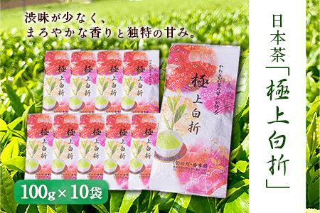 独特の甘み・日本茶「極上白折」《60日以内に出荷予定(土日祝除く)》【100g×10袋】 熊本県 大津町産 有限会社 のだ・香季園