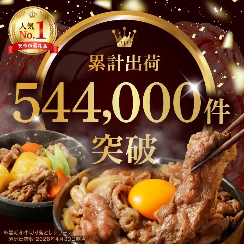 S001-001-T03A_【定期便3回】A4～A5等級 黒毛和牛 切り落とし1kg（500g×2P）3か月連続お届け / 【定期便】 3回 ミシュランビブグルマン 獲得 切り落とし 500g × 2
