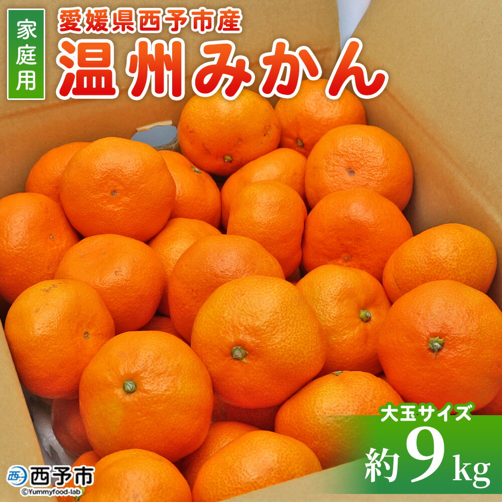 【ふるさと納税】＜愛媛県西予市産 温州みかん 大玉サイズ 家庭用 約9kg＞ 愛媛県産 西宇和 大玉 大きめ 果物 フルーツ 柑橘 うんしゅうみかん ウンシュウミカン オレンジ ミカン 蜜柑 訳あり 小林果園 愛媛県 西予市 【常温】『2025年11月中旬～12月中旬迄に順次出荷予定』
