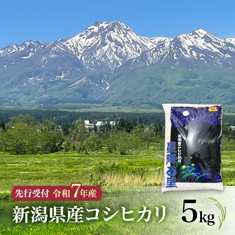 【ふるさと納税】新米予約 令和7年 新潟県産コシヒカリ 5kg 5キロ 上越市 株式会社小出農場 自社の低温保存庫にて温度と湿度を管理 ご注文いただいてから、室内で米粒の選別・精米・梱包 白米 精米 送料無料 先行予約　お届け：2025年10月中旬～12月下旬まで