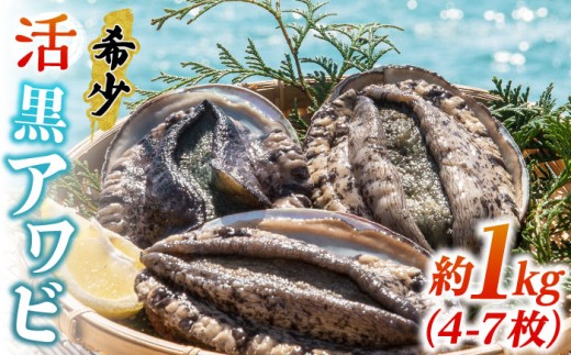 【先行予約】活アワビ 約1kg（4-7枚）（黒アワビ）【12月下旬以降発送】《壱岐市》【丸和水産】[JCJ006] 鮑 アワビ あわび 黒鮑 黒アワビ 黒あわび 貝 魚貝 海鮮 刺身 刺し身 お刺身 BBQ 50000 50000円