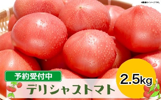 糖度7度以上の高級トマト｜ふるさと納税 デリシャストマト 2.5kg（予約受付中）