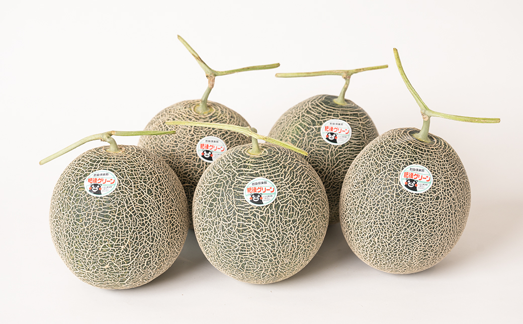 【先行予約】 熊本県産 肥後グリーンメロン 約7kg (1玉1.6～2kg) 果物 フルーツ メロン 【2025年6月上旬より順次発送】