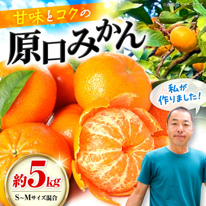 【ふるさと納税】【年内配送】【贈答にも】 原口みかん 約 5kg（S〜Mサイズ混合） ＜山田果樹園＞ [CCX010] 長崎県 西海市 みかん ミカン 蜜柑 柑橘 みかん 温州みかん 贈答 みかん 産地直送 フルーツ 果実 果物 贈答用 あまい ビタミン 旬 5kg