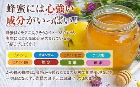 【全3回】 定期便 かの蜂 国産 百花蜂蜜 合計3kg（とんがり容器500gを毎月2本お届け） 国産蜂蜜 百花蜂蜜 定期便 ハチミツ かの蜂 健康食品 とんがり容器 贈り物 朝食 美容 024-T00