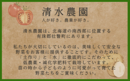 ＜2024年9月初旬よりお届け＞北海道壮瞥町産　玉ねぎ約10kg【 ふるさと納税 人気 おすすめ ランキング 玉葱 玉ねぎ たまねぎ タマネギ オニオン 甘い 北海道 壮瞥町 送料無料 】 SBTO0