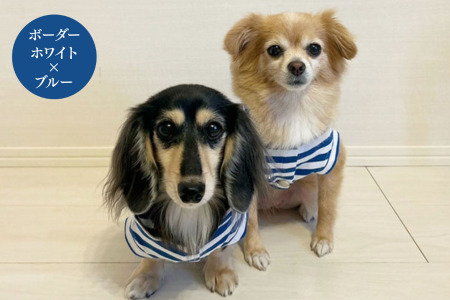 オーナー様とお揃いで着れるボーダーパーカー 佐賀県 佐賀市 犬用洋服 ドッグウェア ペット用品 高品質コットン 飼い主とおそろいアイテム ：B250-016