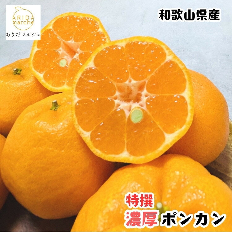 【ふるさと納税】【選べる容量】［先行予約］極甘 柑橘 特選 濃厚 ポンカン 1.5～5kg | ポンカン 柑橘 フルーツ 果物 くだもの 食品 人気 おすすめ 送料無料 農家直送