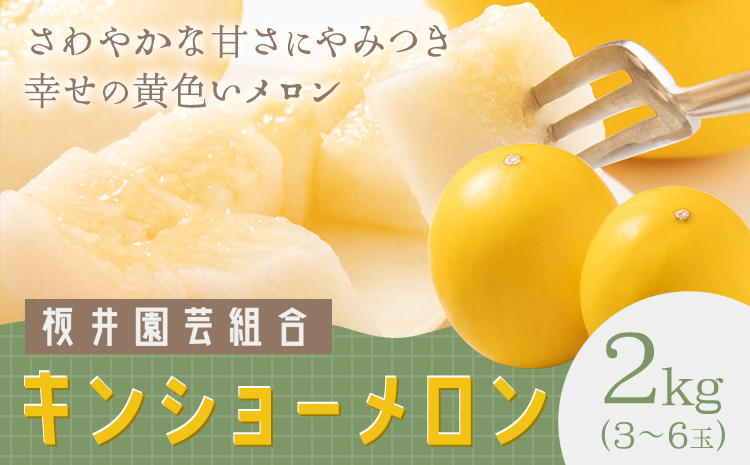 キンショーメロン 2kg(3〜6玉) メロン《4月上旬-7月上旬頃出荷》熊本県 菊池市 果物 フルーツ 金鐘 ノーネットメロン 黄色いメロン 菊池市産 熊本県産 九州産 送料無料