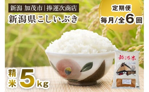 【令和7年産新米】【定期便6ヶ月毎月お届け】新潟県産こしいぶき 精米 5kg 《順次出荷》 コシイブキ 新潟米 お米 白米 ライス ご飯 加茂市 捧運次商店