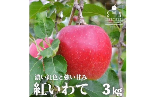 りんご 紅いわて 3kg 松陽園 樹上 完熟りんご 農家直送 先行予約【1516188】