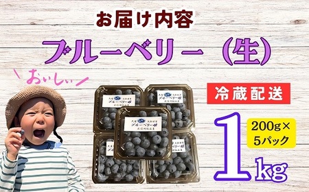 【先行予約】無農薬 完熟ブルーベリー姫[生]１kg(2025年7月より発送） (7-A15)