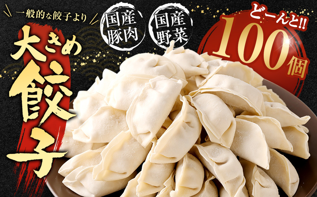 ハーブ育ちチキン使用！ 水炊き 8人前 ＆【国産冷凍生餃子(ラー麦使用)】 大きめ餃子 100個