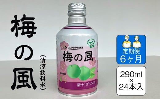 【定期便6ヶ月】梅の風（清涼飲料水）　290ml×24本入り【 神奈川県 山北町 】