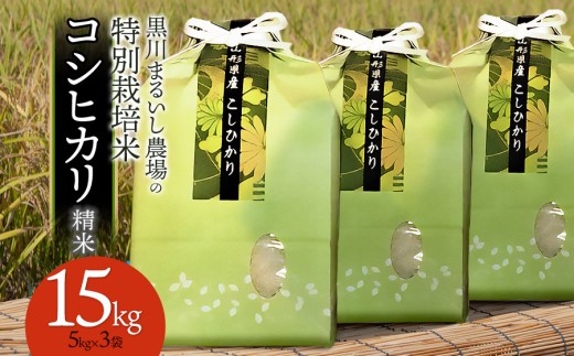 【令和7年産】【新米】 黒川まるいし農場の特別栽培米 コシヒカリ 15kg(5kg×3袋) 山形県鶴岡市産　K-7129