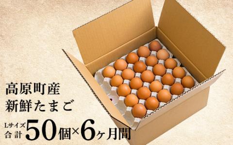 《赤たまごの定期便》年6回×大容量50個 計300個 宮崎県産きみの力(チカラ)Lサイズ赤卵  ミネラルたっぷりのカキガラや上質な飼料ですくすく育った鶏の卵は甘くておいしい逸品 [たまご 玉子 6ヶ月