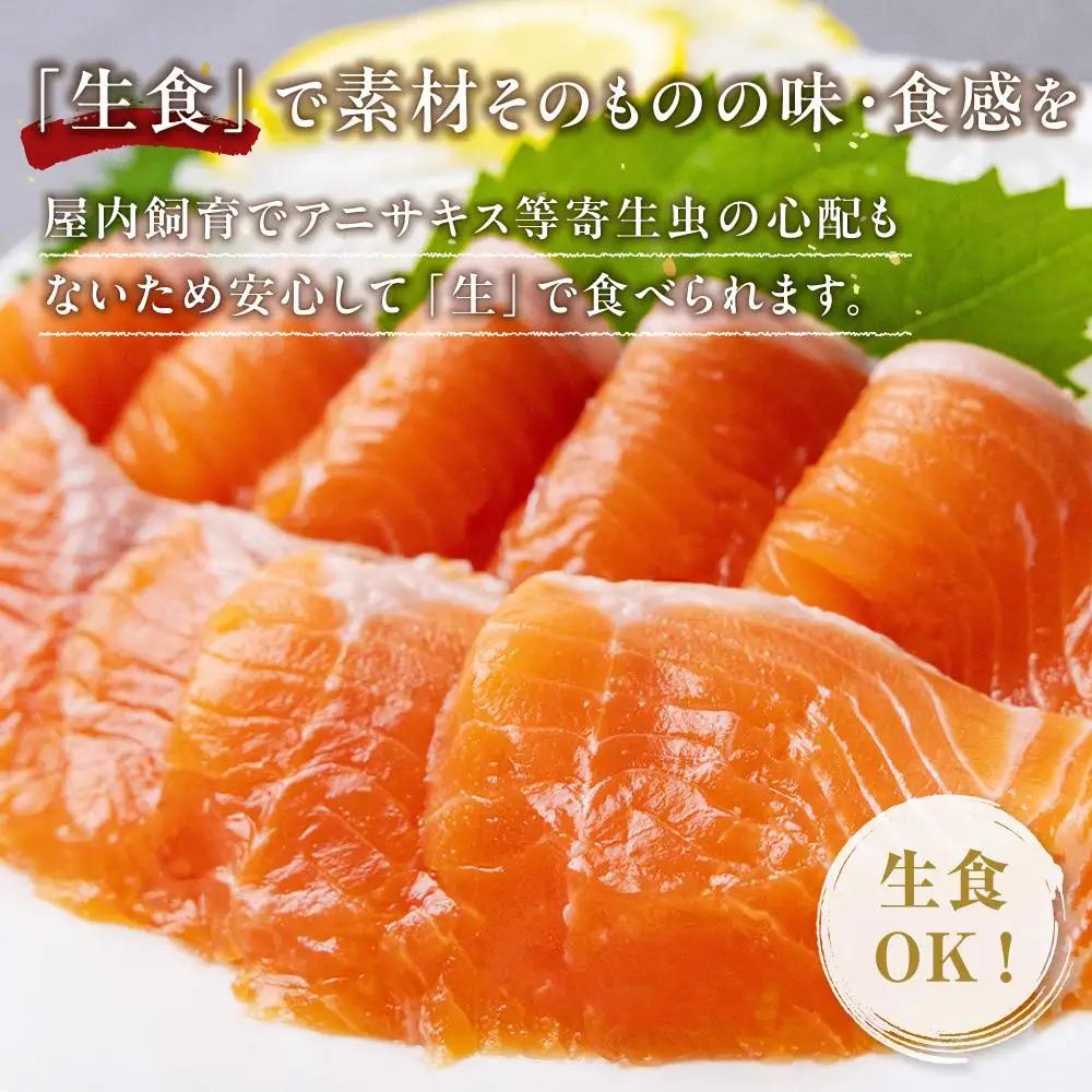 スモークサーモン 数量限定 とっとり 琴浦 グラン サーモン 1kg（500g×2パック）