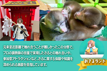 日光おさるランド＆アニタウン (日光さる軍団) ショープラン ペア入場券 [0905]