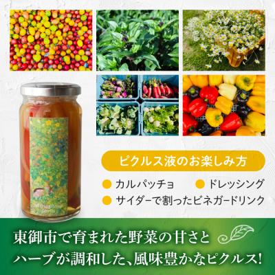 ふるさと納税 東御市 【しなぷな農園】しなぷなピクルス詰め合わせ(5本セット) |  | 01
