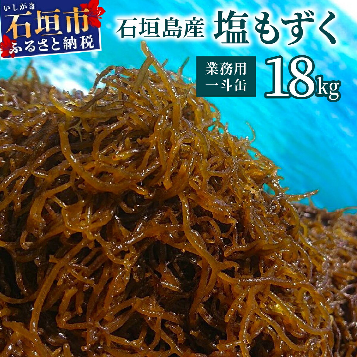 【ふるさと納税】石垣島産・塩もずく（業務用一斗缶・18kg） KS-12　沖縄県 石垣市 石垣島 もずく モズク 酢の物 味噌汁 天ぷら 炒め物 おつまみ