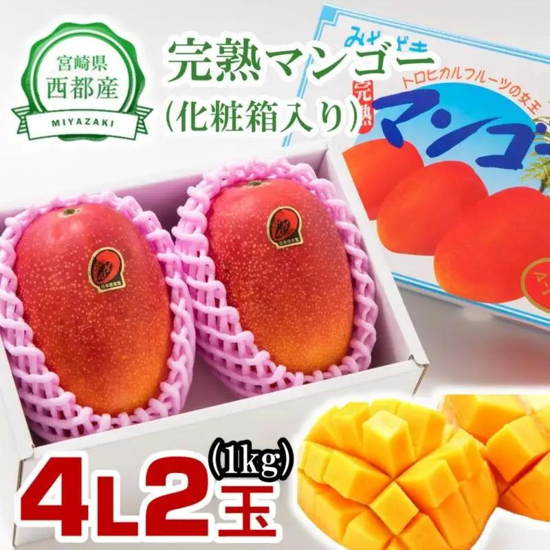 【先行予約】2027年発送 糖度12度以上 大玉 西都産完熟マンゴー  4L×2（計1kg程度） JA西都　＜2-1a＞