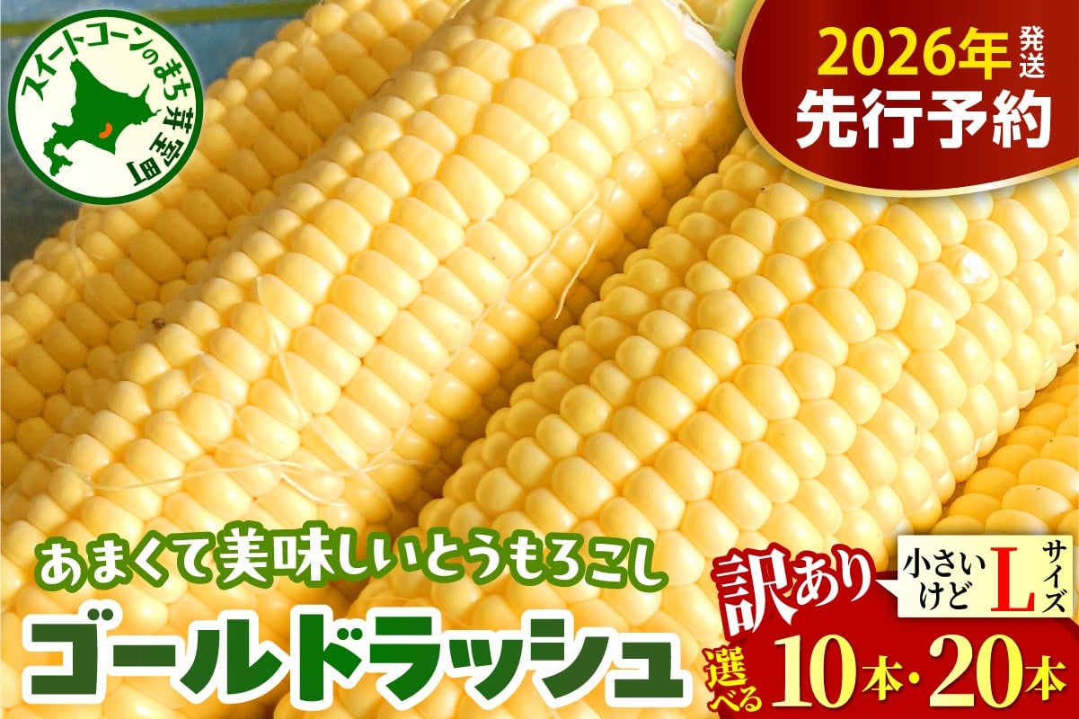 
            【先行受付】【2026年8月上旬～8月下旬頃配送】【訳あり】北海道十勝芽室町 とうもろこし ゴールドラッシュ Lサイズ(選べる本数 : 10本 20本) me078-006c-26-o
          