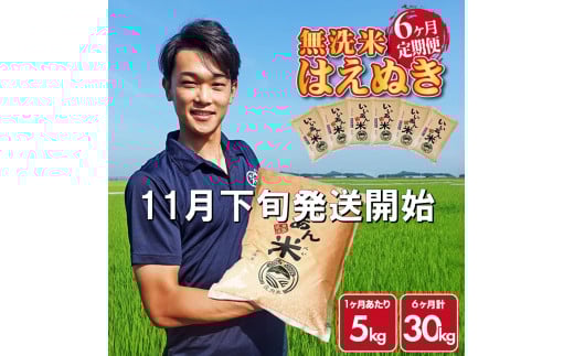 11月下旬発送開始／【6回定期便】令和7年産 無洗米はえぬき　5kg×6回(計30kg)　農家直送『いいあん米』AG SM0030