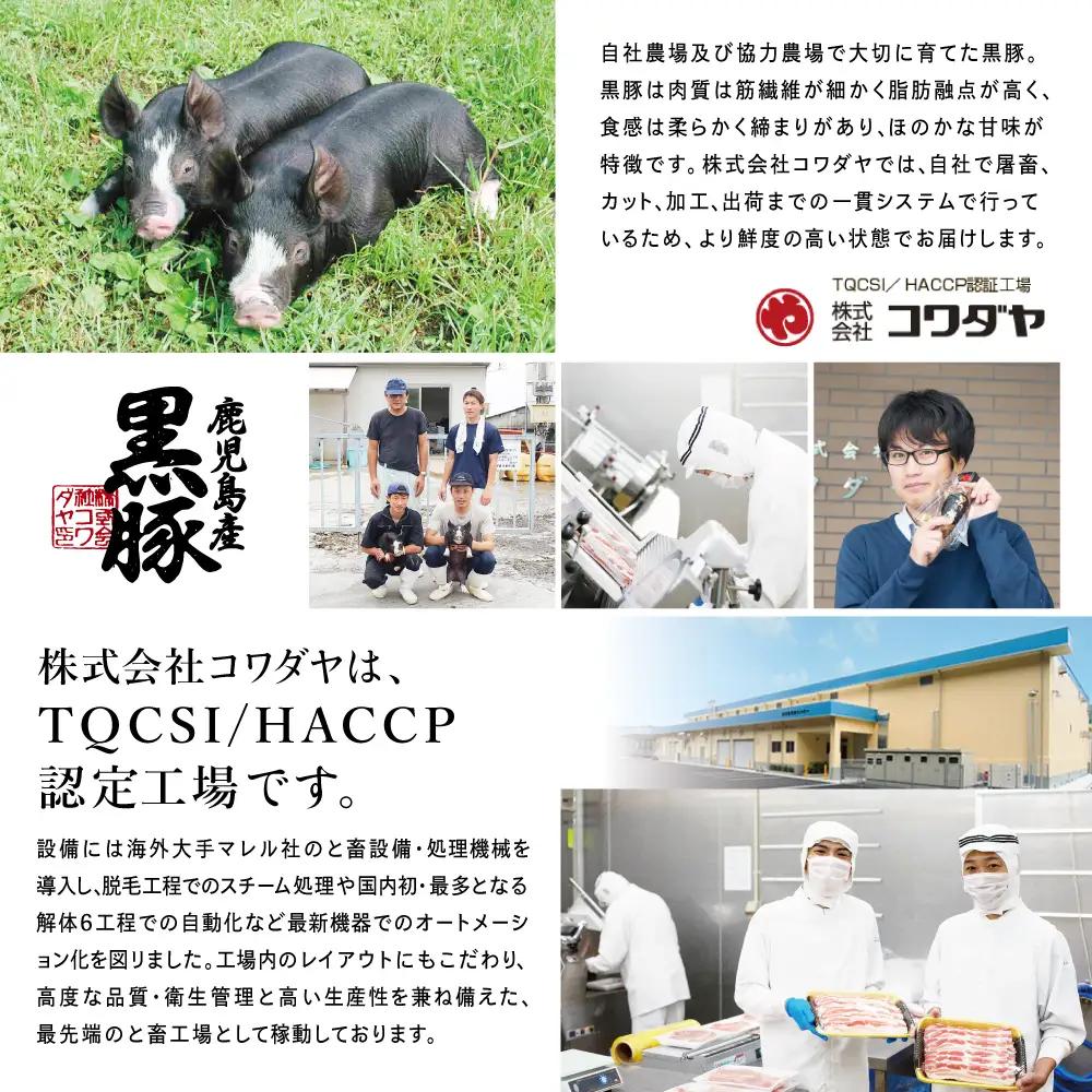 【定期便 全3回】コワダヤ厳選！鹿児島県産黒豚ローススライス定期便 計900g×3回(合計2.7kg) 生姜焼き 焼肉 小分け 定期配送 冷凍 豚肉 コワダヤ 南さつま