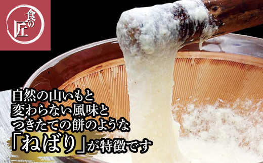 1859 伊勢の横輪いも　横輪いも　芋 いも 山芋 とろろいも 生野菜 ねばり 伊勢 特産品 ご当地グルメ イオンリテール
