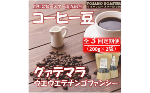 ＜毎月定期便＞コーヒー豆　グァテマラ ウエウエテナンゴファンシー　200g×2　遠赤外線焙煎全3回【4063190】
