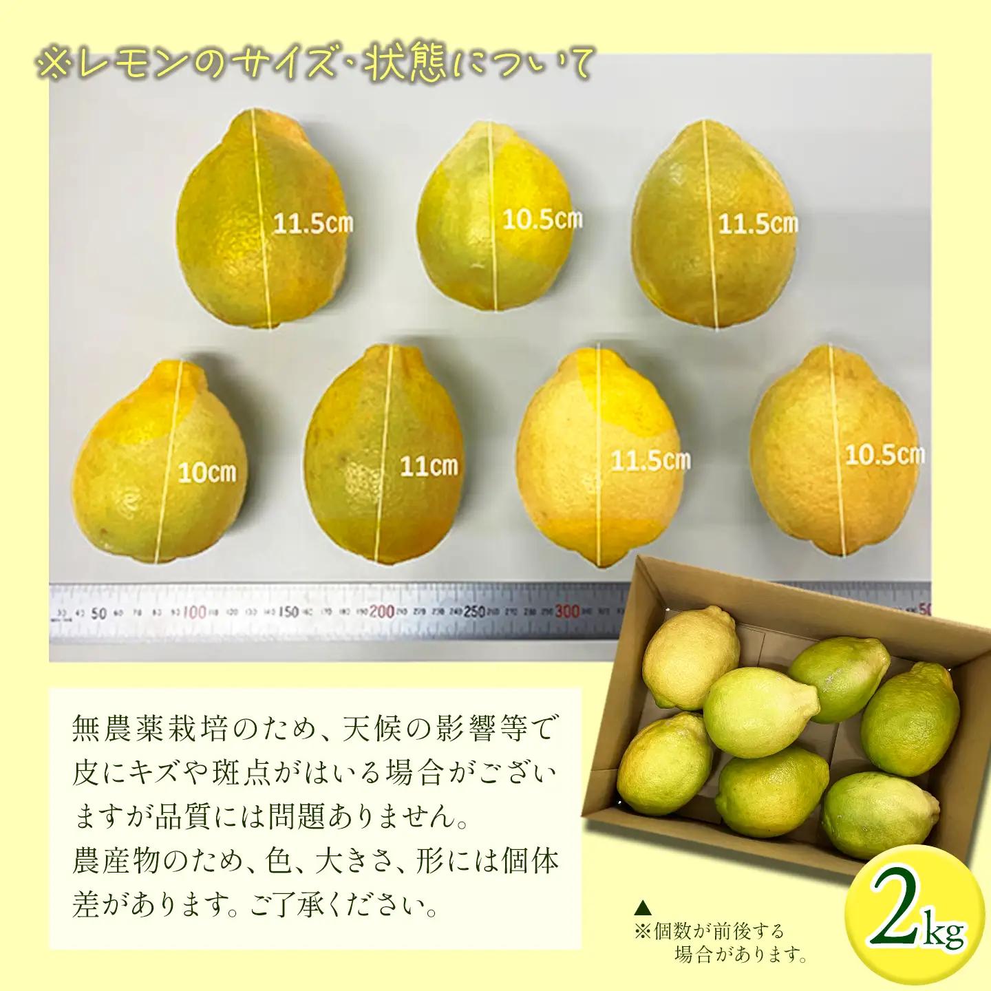 有機レモン 璃の香 2㎏【11月下旬～1月発送】れもん オーガニック 国産 愛媛県 西条市