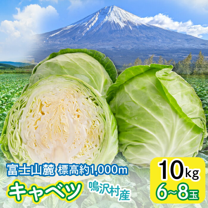 【ふるさと納税】 キャベツ　10kg　（6～8玉）ふるさと納税 キャベツ 新鮮 美味しい シャキシャキ 野菜 山梨県 鳴沢村 送料無料 NSAK005