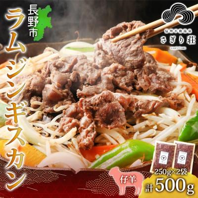ふるさと納税 長野市 長野県 信州新町 不動温泉 さぎり荘 謹製 ラム ジンギスカン 250g×2袋 計500g
