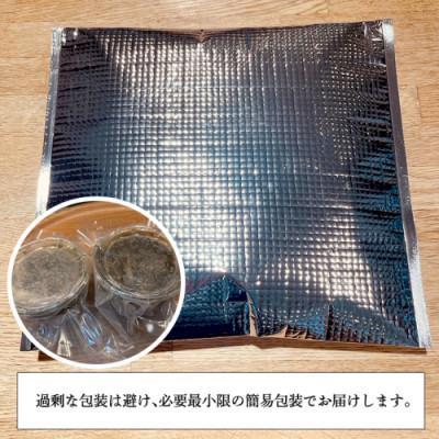 ふるさと納税 牛久市 日本料理ひたち野いしざきの海の幸ぎっしり松前漬け200g×2 |  | 03