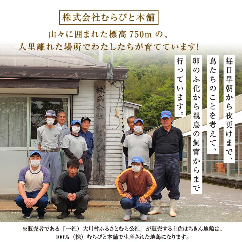 地鶏 土佐はちきん地鶏もも肉 3kg 地鶏 モモ肉 鶏肉 とり肉 とりにく 肉 高知県 大川村 F6R-101 3kg