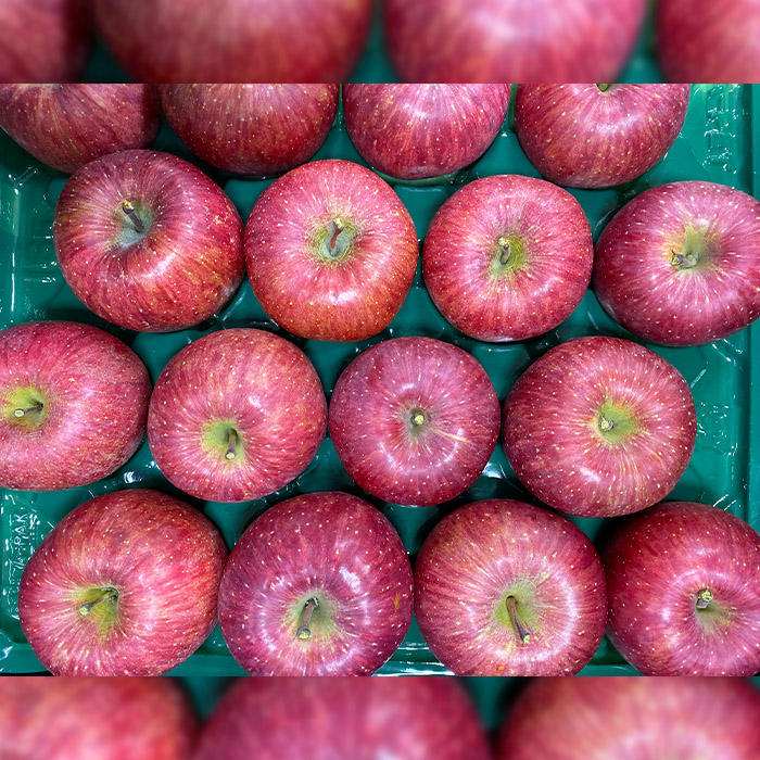 サンふじりんご 無袋 秀品5kg(14玉～20玉) FZ23-003