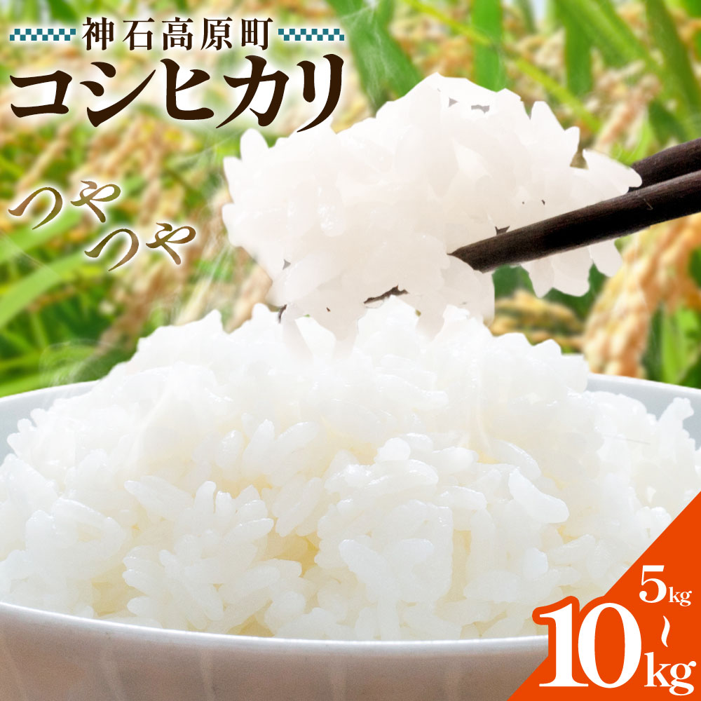 【ふるさと納税】神石高原町産 コシヒカリ 米 選べる 5kg 10kg 株式会社MSERRNT《寄附後2週間日以内に出荷予定(土日祝除く) 》お米 白米 ご飯 ごはん 白ご飯 白飯 国産 コメ 広島県 神石高原町 送料無料