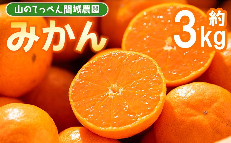 山のてっぺん間城農園のみかん3kg - フルーツ 果物 柑橘 みかん フルーツ 柑橘 期間限定 ms-0045