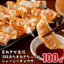 【ふるさと納税】淡路島たまねぎたっぷりジューシー餃子 100個（20g×20個×5PC）