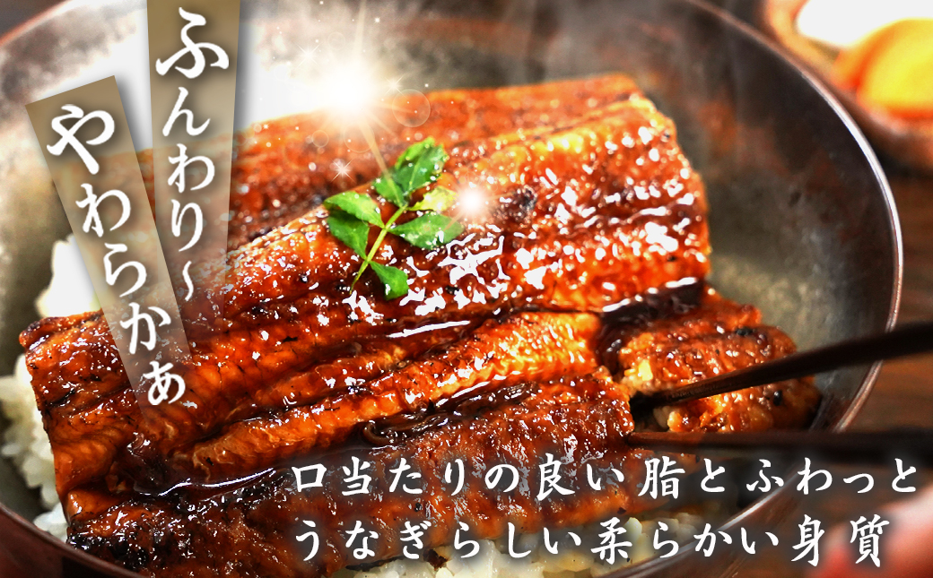 宮崎県育ちの【特大】うなぎ蒲焼2尾420g以上≪山椒・たれ付≫_18-M301