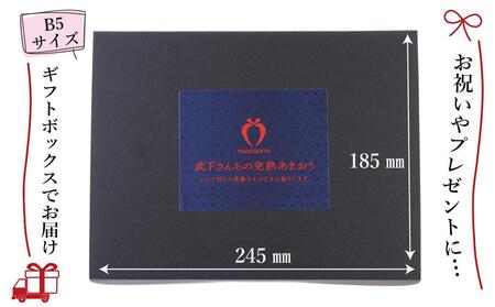 【出荷期間は1月～4月末】まるで宝石！希少な大粒サイズ！「完熟あまおう」4Lサイズ450g入り