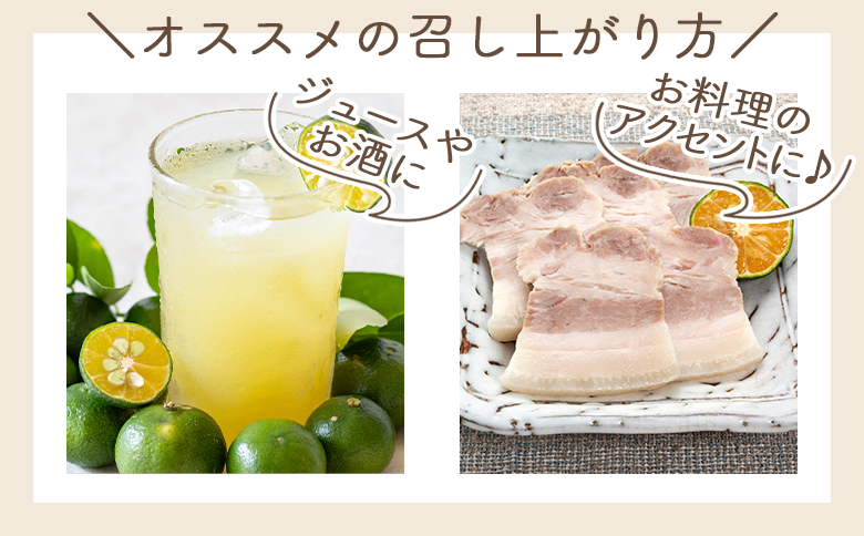 さわやかな香り漂うシークワーサー 2kg - 国産 シークヮーサー 果物 フルーツ 果実 青果 柑橘 ヒラミレモン ジュース 酒 やすらぎ市 高知県 香南市 常温 2026年10月～11月上旬までに発