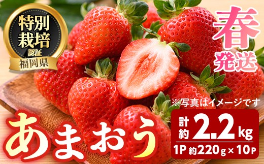 ＜先行予約受付中！2027年3月～4月発送予定＞ うるう農園の あまおう 2Lサイズ (計約2.2kg・約220g×10P) 苺 いちご イチゴ 果物 フルーツ 国産 福岡県 ヨーグルト ジャム スムージー 冷蔵 春発送 特別栽培 ＜離島配送不可＞【ksg1973】【うるう農園】