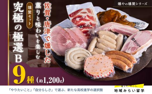 
            【セット】マイスターがセレクトした燻製9点セットB(ハム3種・ウインナー4種・ベーコン・スモークチキン)
          