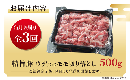 《定期便》全3回 結旨豚 ウデ又はモモ 切り落とし 500g 冷凍真空パック | 肉 お肉 豚肉 国産 食べ比べ セット 白川郷 岐阜県 白川村 ブランド豚 人気 おすすめ ギフト 飛騨高山ミート 1