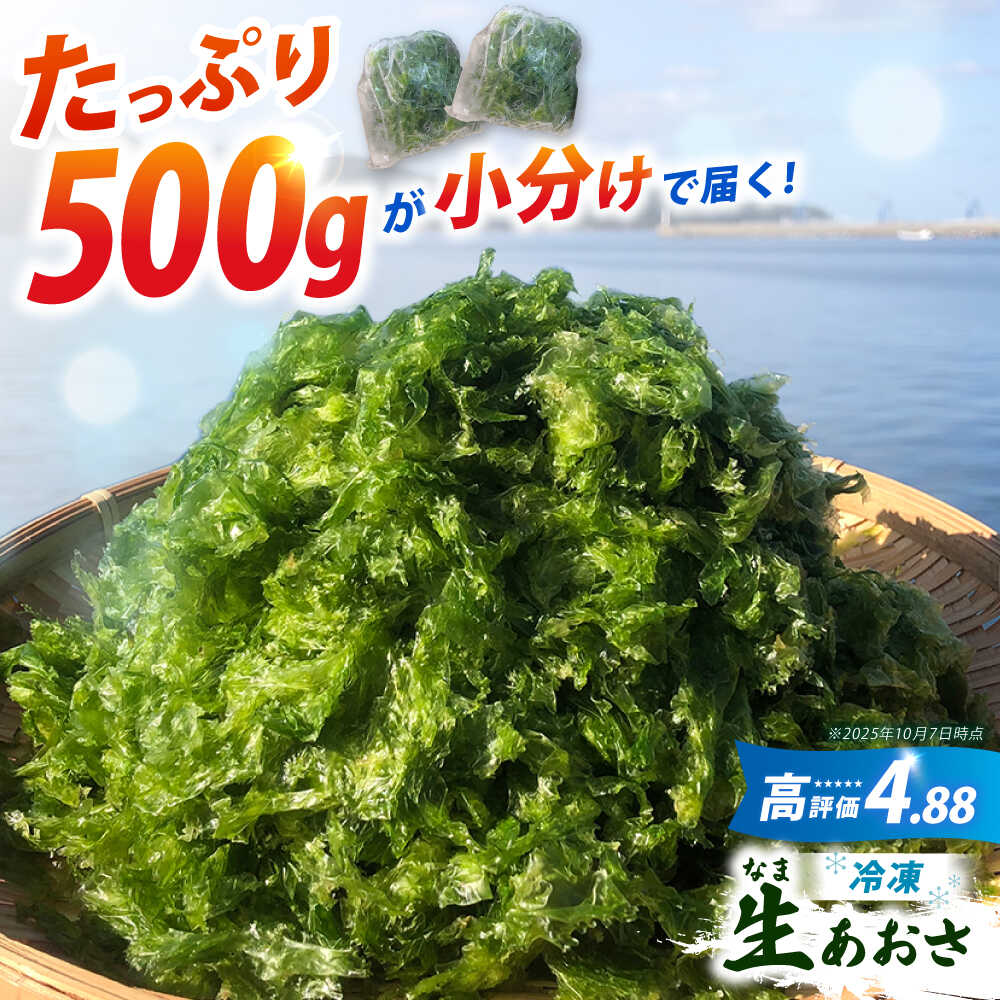 【ふるさと納税】【五島列島よりお届け】冷凍 生あおさ 50g×10袋 計500g【上五島町漁業協同組合】 [RBN007]