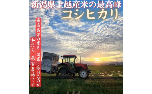 令和8年産【令和9年1月中旬配送】 新米 先行予約 新潟県産 コシヒカリ 10kg 10キロ 最高品質のお米を追求し続ける 篠宮農場 こしひかり 上越市 精米
