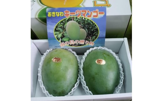 【先行受付】【2025年発送】キーツマンゴー 南城市 約2kg (2～3玉)