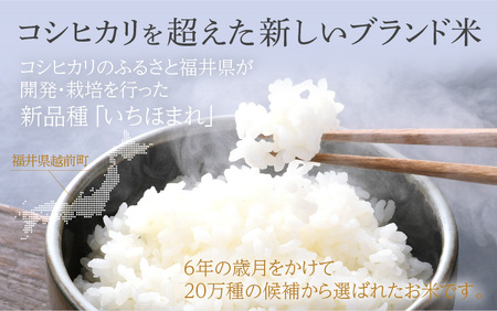 【12回定期便】いちほまれ 5kg 福井県 定期便 精米 ブランド米 [e27-n005]